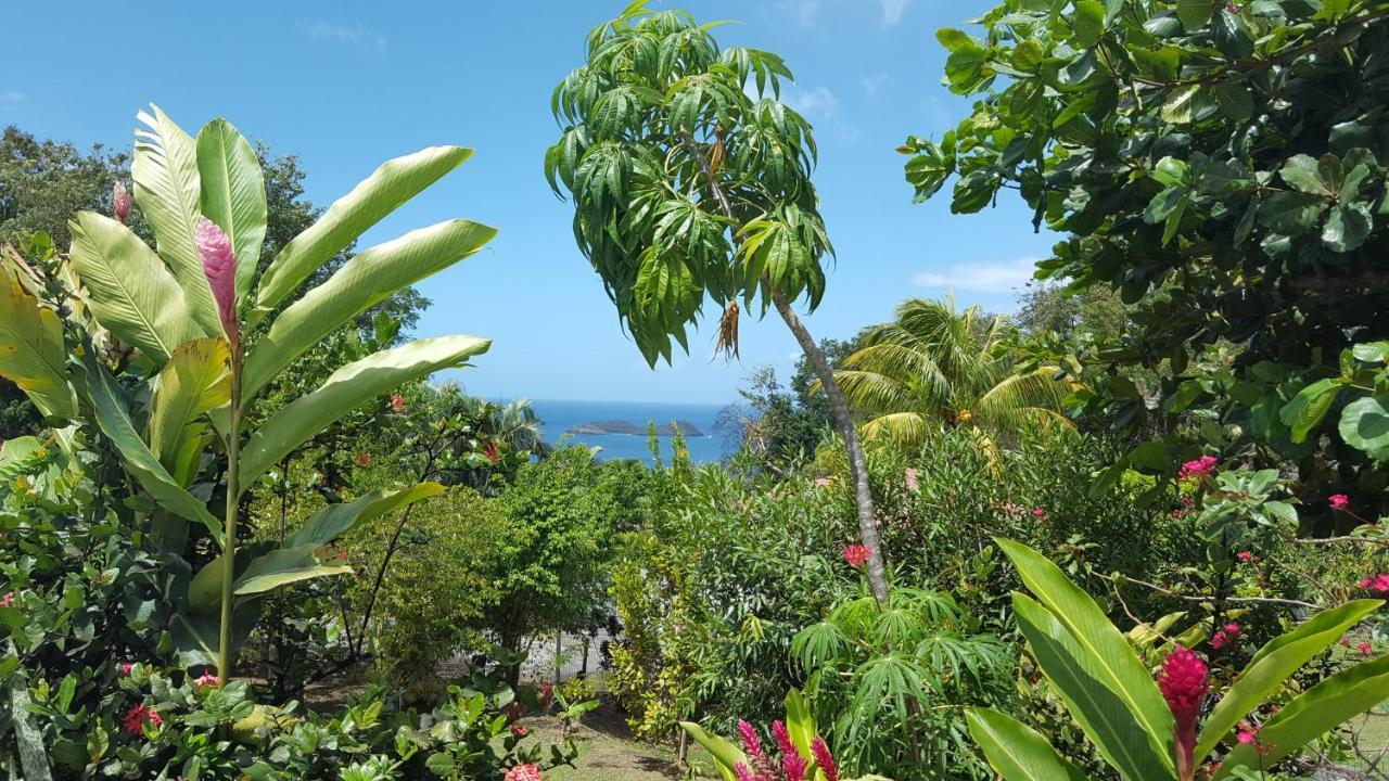 Vacances Bien Etre Guadeloupe Буйант Экстерьер фото