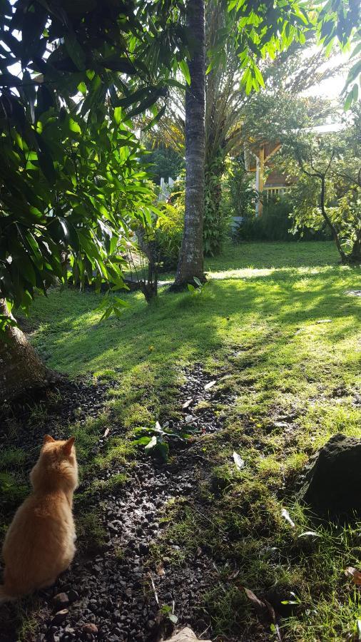 Vacances Bien Etre Guadeloupe Буйант Экстерьер фото